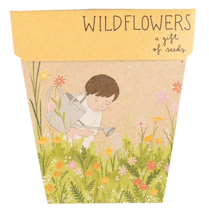 Seed Cards