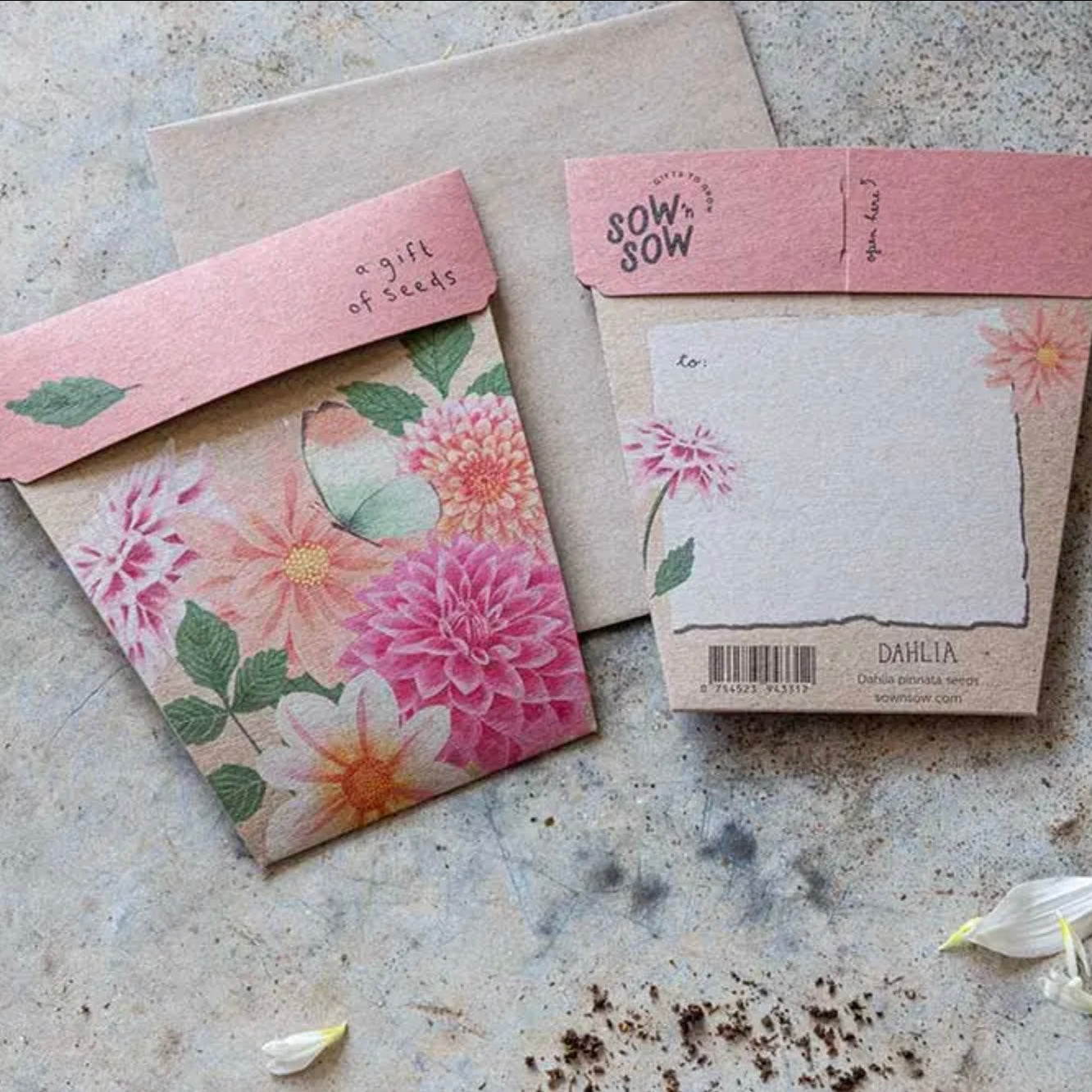 Seed Cards