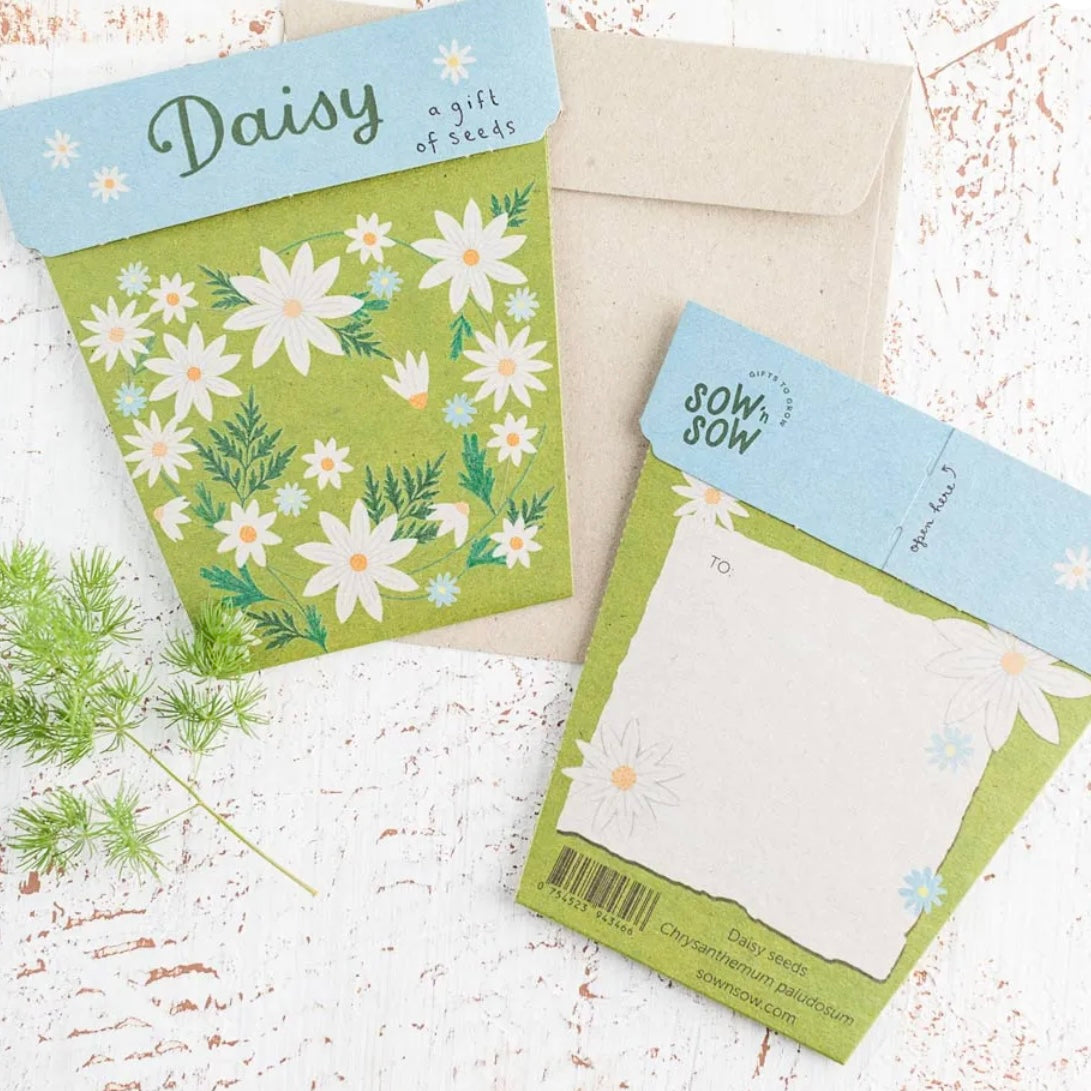 Seed Cards