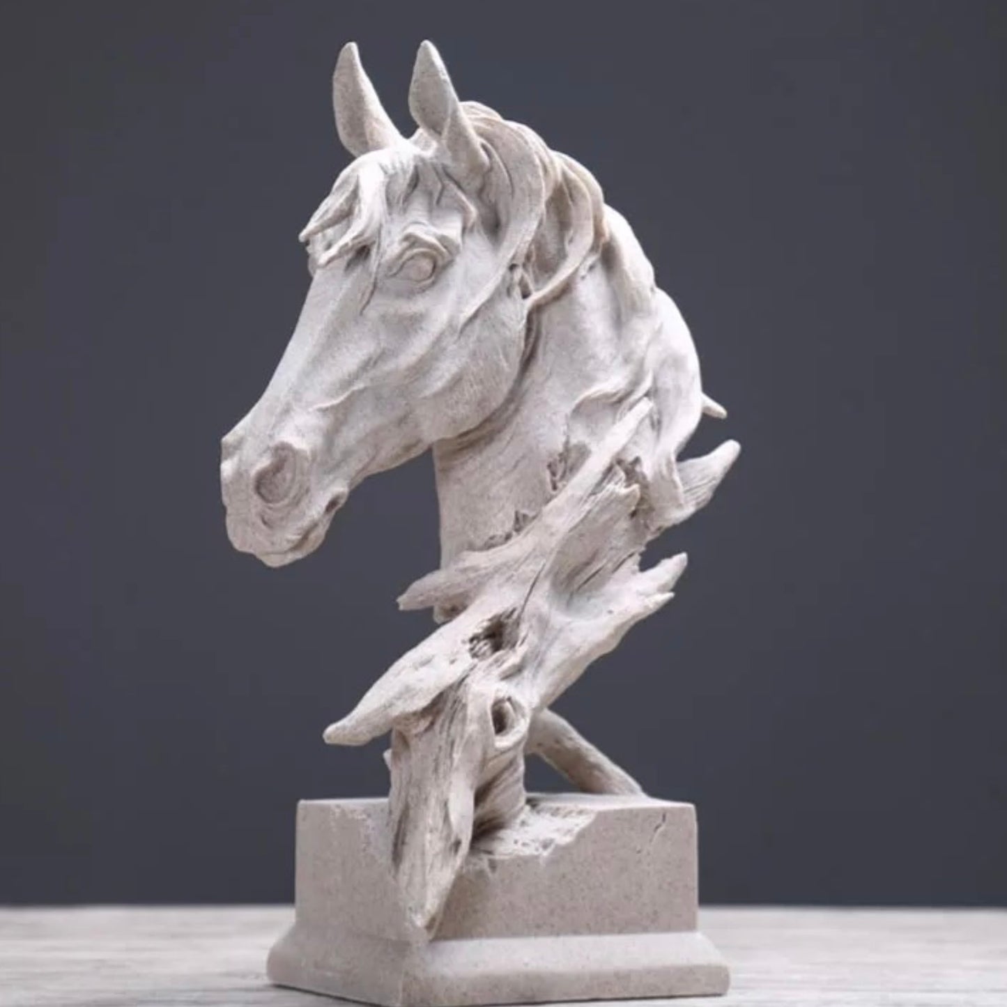 Stunning Horse Head