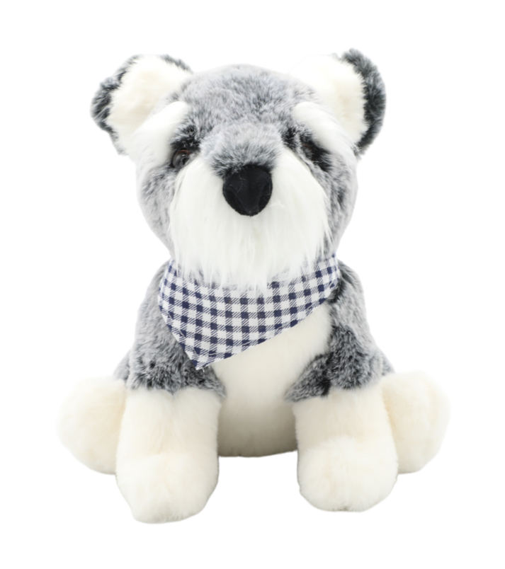 Rocky the Schnauzer