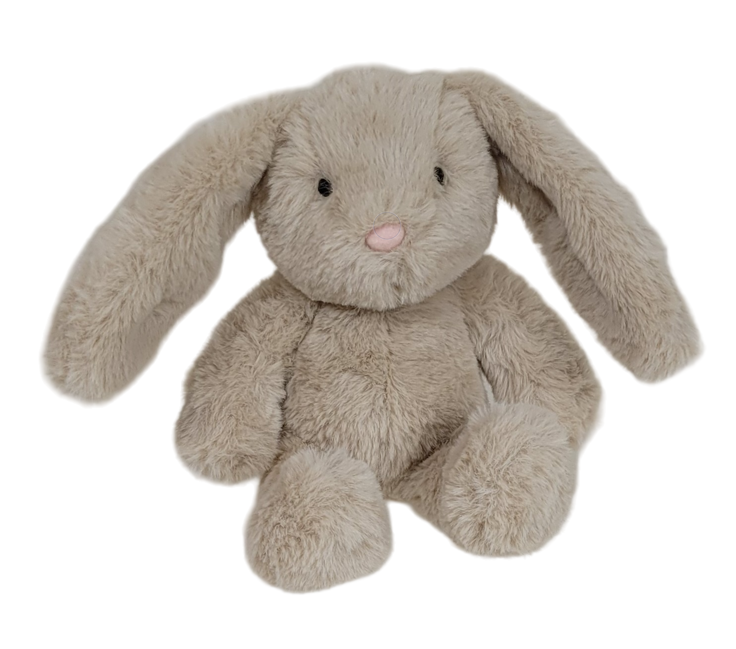 Beau the Bunny