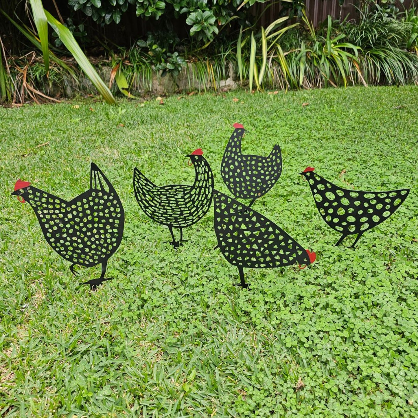 CHOOKS - SET 5 HENS STAKES