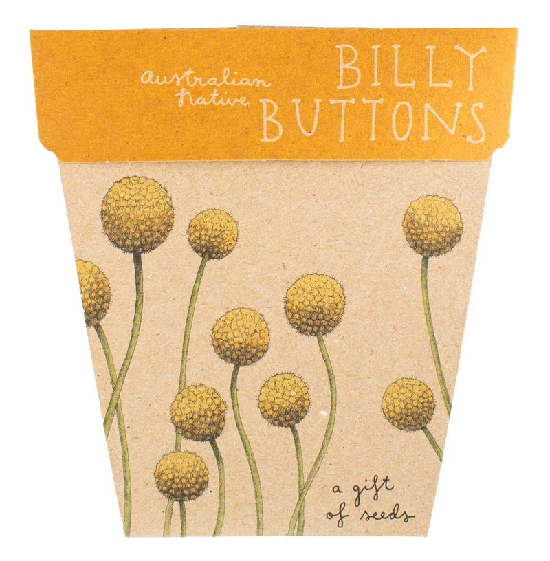 Seed Cards