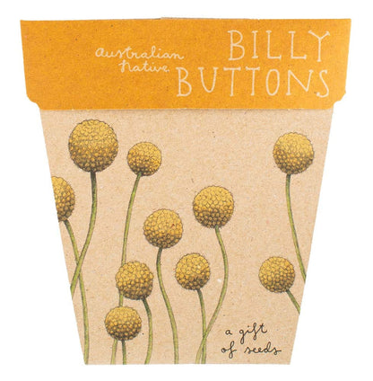 Seed Cards