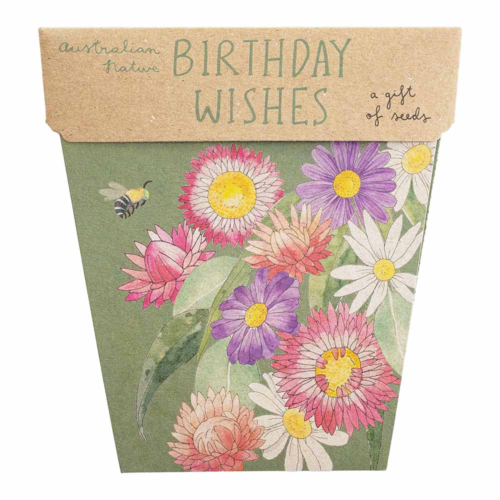 Seed Cards