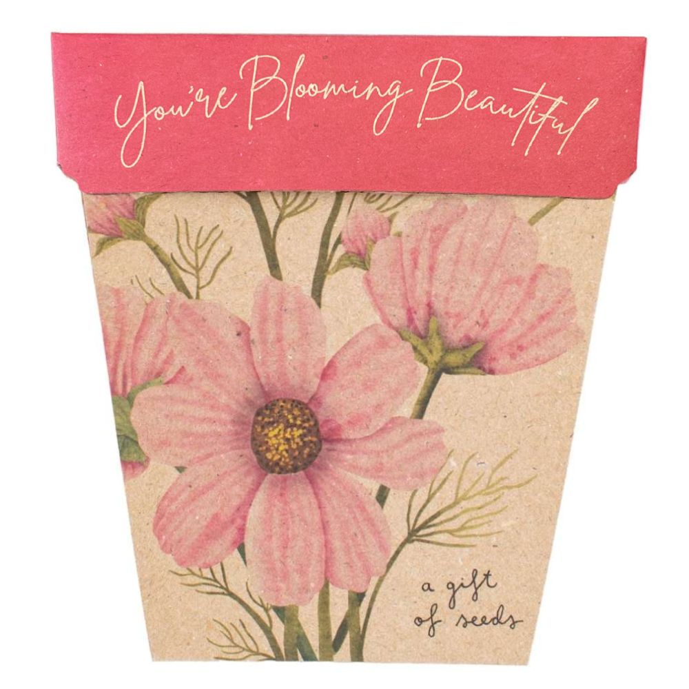 Seed Cards