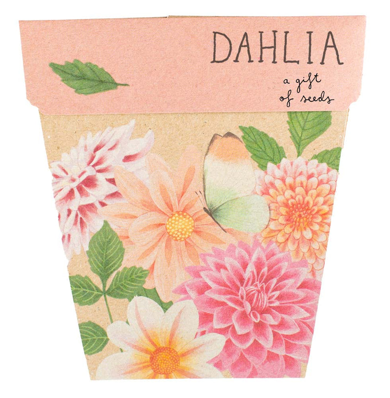 Seed Cards