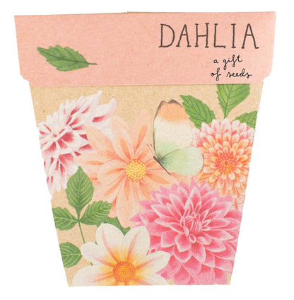 Seed Cards
