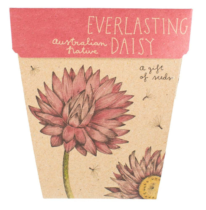 Seed Cards