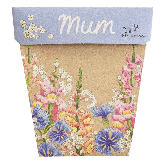 Seed Cards