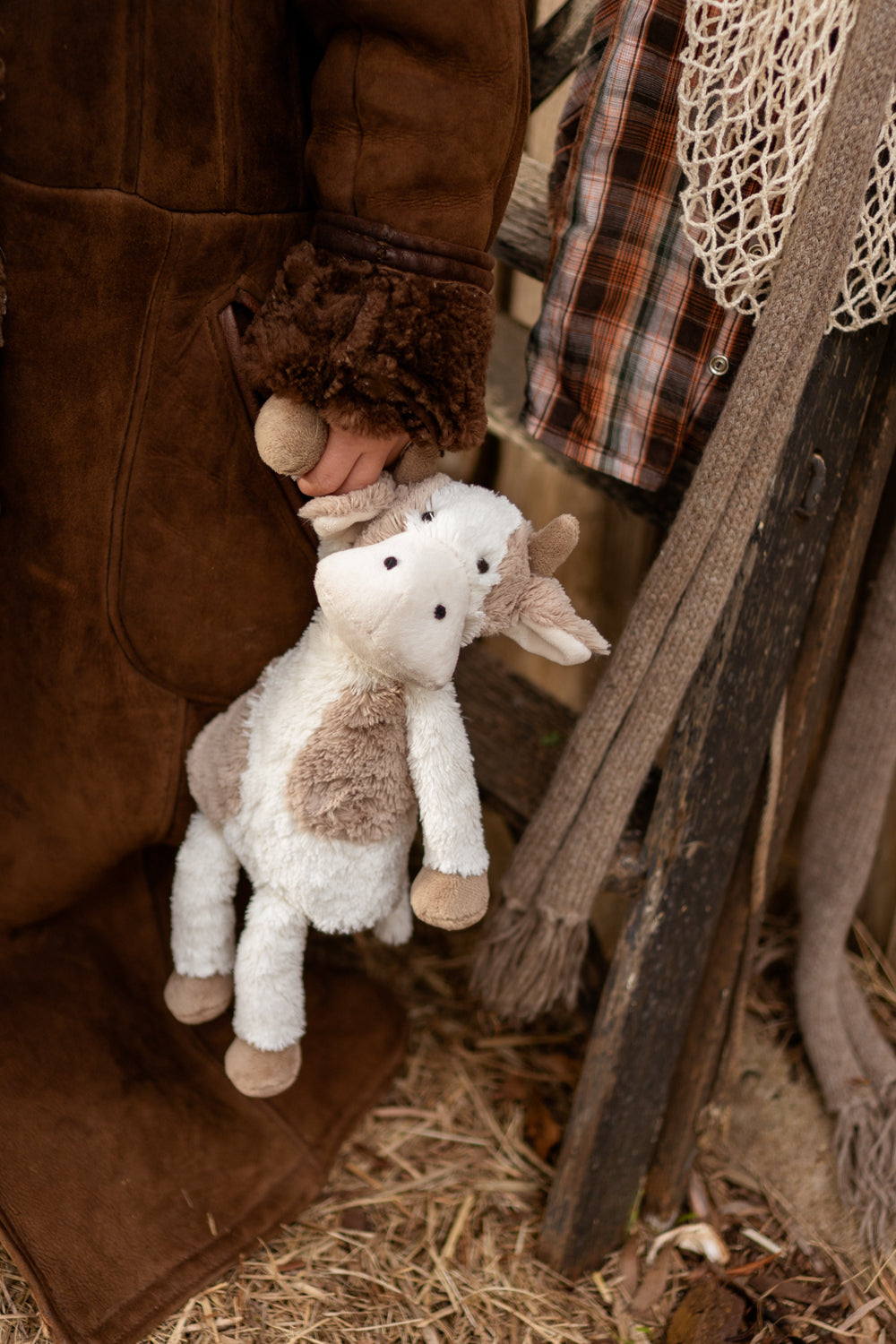 Clover the Cow
