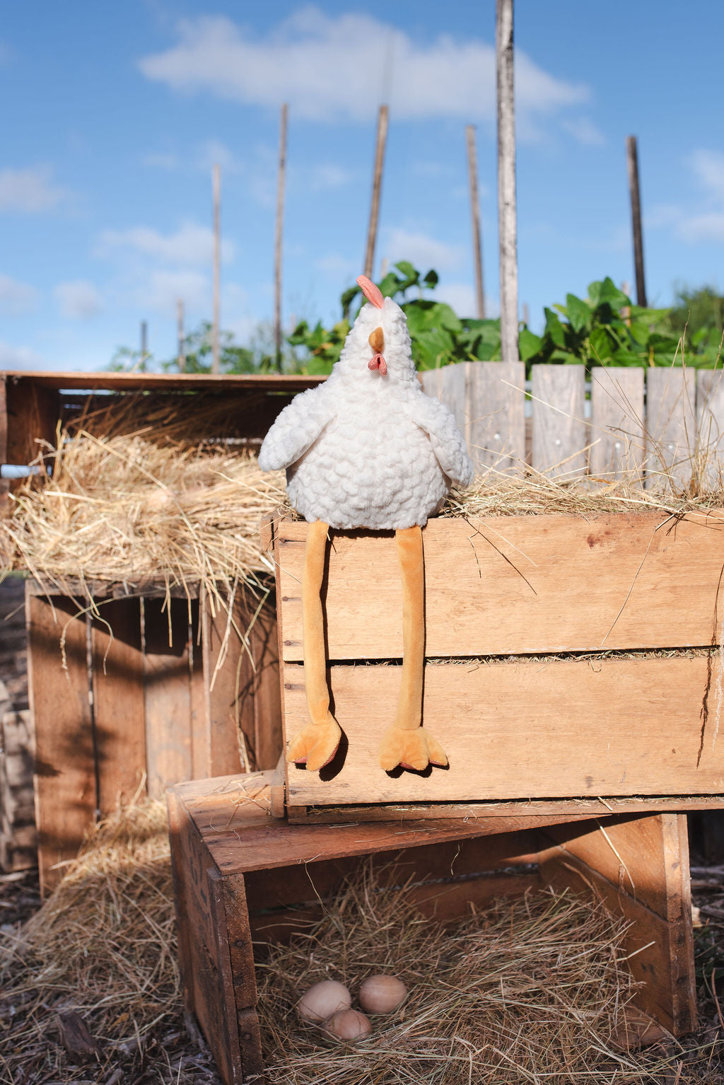 Charlie The Chicken