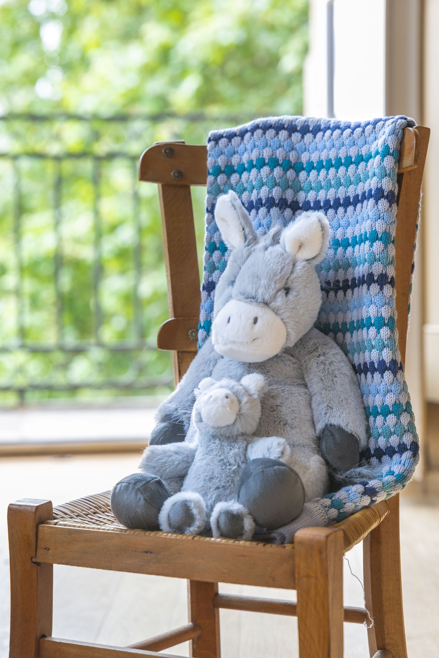 Diego the Donkey