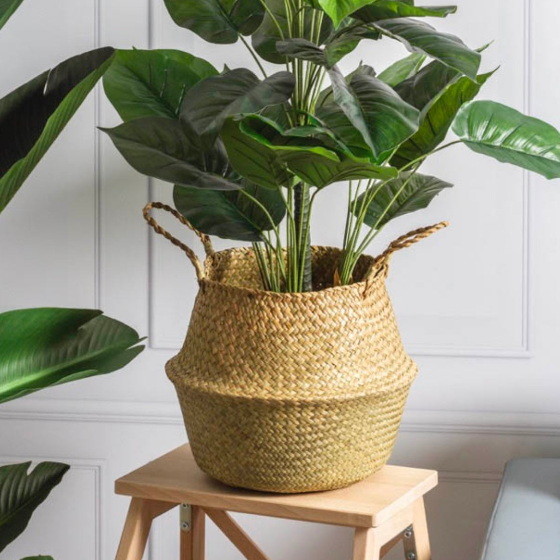 Tonga Seagrass Planter