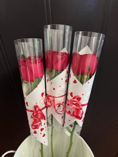 Single Red Rose in Cone